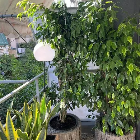 Apartment Vibrant 2br In Koukaki